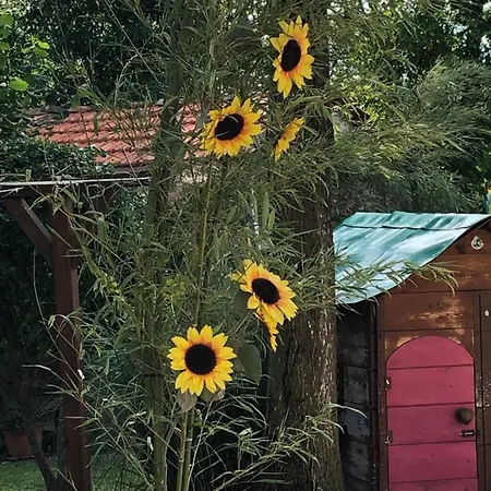 Country House Near Venice 度假居